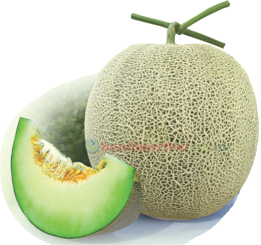 melon hijau